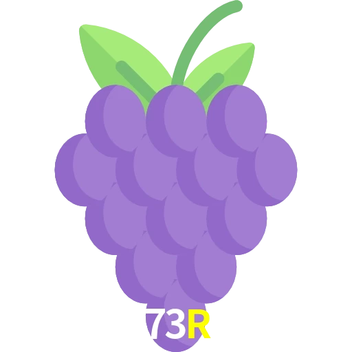 73R