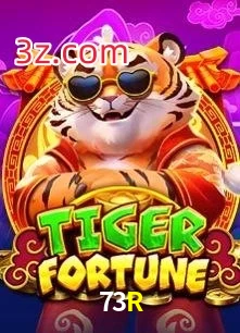 73R